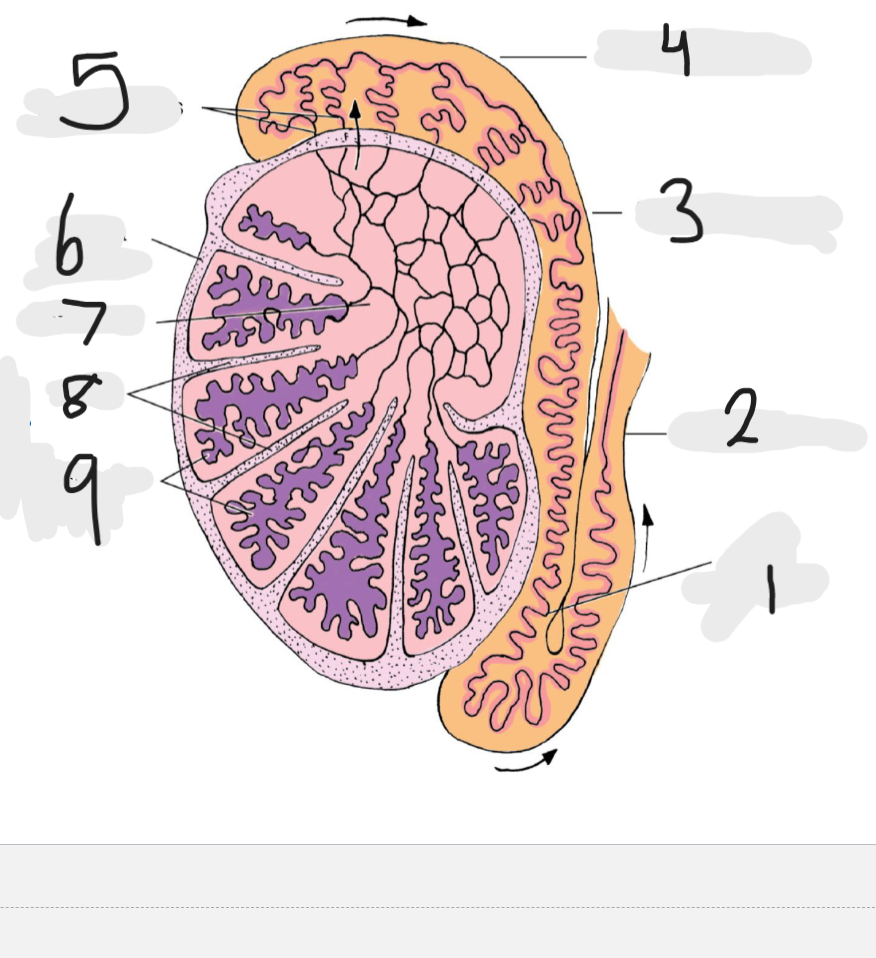 <p>Number 3</p>