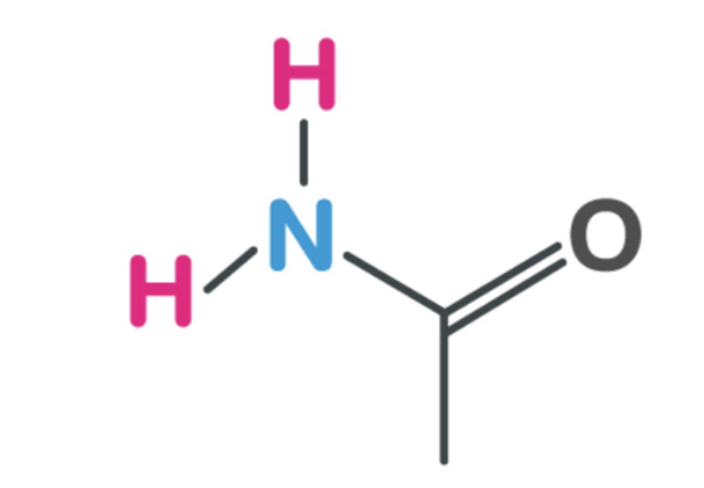 <p>amide</p>