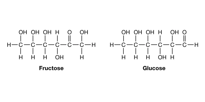 <p>monosaccharide</p>