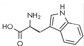 <p><span>This molecule is a:</span></p>