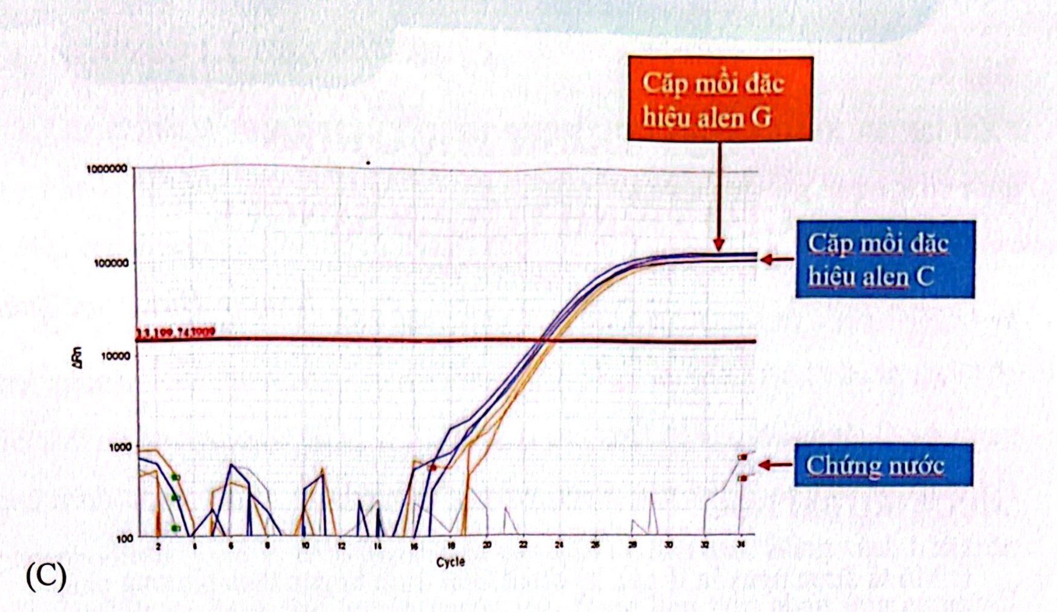 <p>Hình trên cho thấy biểu đồ đường cong khuếch đại của KG nào ?</p><p>A. CC</p><p>B. CG</p><p>C. GG</p><p>D. Không có đáp án nào đúng</p>