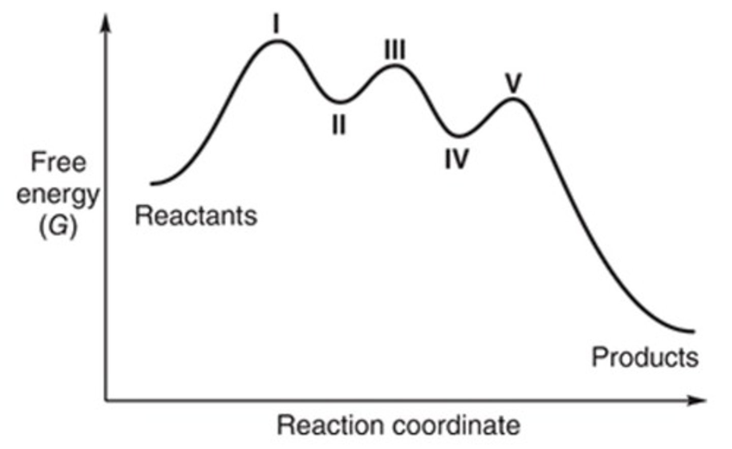 <p>In the following energy diagram showing the progress of a reaction, which location(s) represent an intermediate?</p><p>I, III, and V</p><p>II and IV</p><p>Only III</p><p>I, II, III, IV, and V</p>