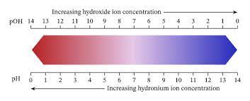 The overall concentration of hydrogen ions is inversely related to its pH and can be measured on the pH scale (Figure 1). Therefore, the more hydrogen ions present, the lower the pH; conversely, the fewer hydrogen ions, the higher the pH. The pH scale ranges from 0 to 14.