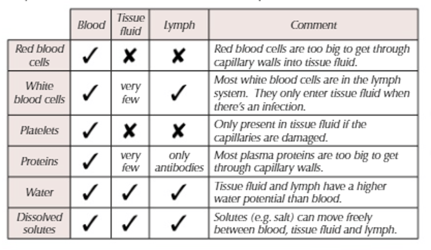 <p>-Similar to plasma and tissue fluid but with less oxygen and fewer nutrients and more fatty acids.</p><p>-As well as more Lymphocytes</p>