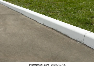 <p>Parking at Colored Curbs: White</p>