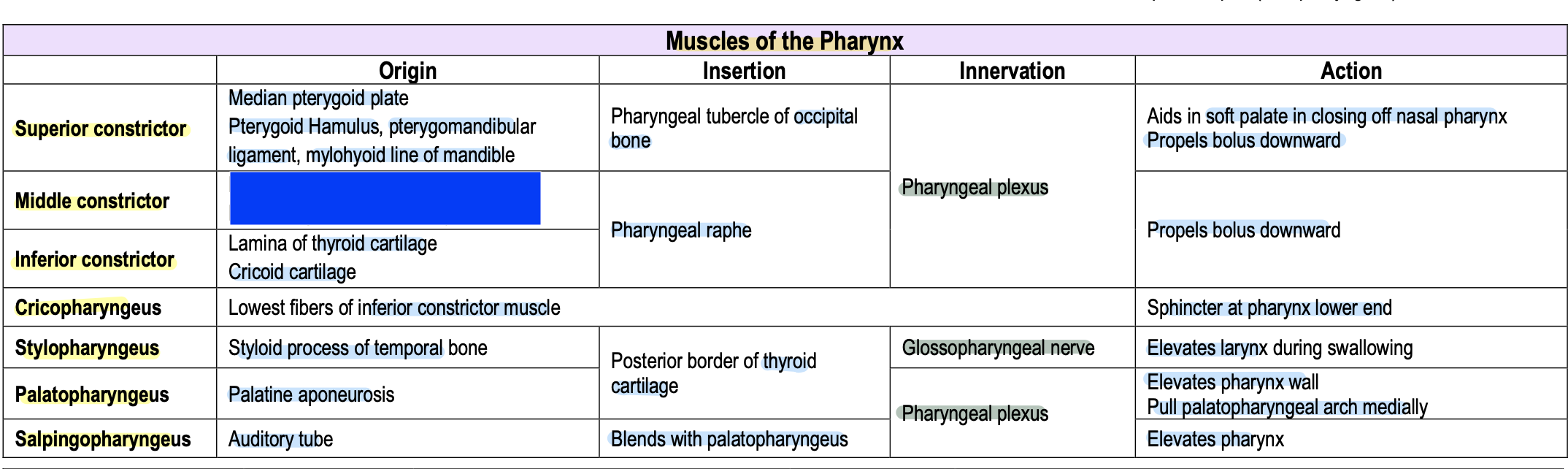 knowt flashcard image