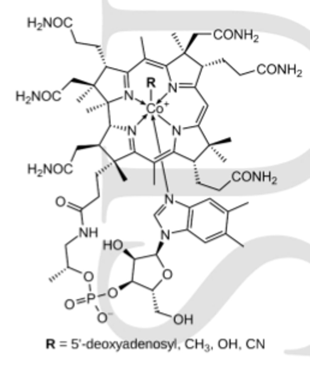 <p>- to sintezē tikai mikroorganismi</p><p>- Ēdot nemazgātus dārzeņus baktērijas kļūst par daļu no zarnu mikrofloras, tādēļ deficītam vairāk pakļauti jaundzimušie.</p><p>Trūkumu var izsaukt arī nespēja uzsūkt vitamīnu (glikoproteīna trūkums) atbrīvot to (zems skābes daudzums kuņgī)</p><p>B12 var uzkrāt aknās</p>