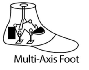 <ul><li><p><span style="color: red;"><strong>Ambulation on varying terrain </strong></span></p><ul><li><p><span style="color: red;">↑ knee stability at heel strike,</span> bumpers can be varied</p></li><li><p><span style="color: red;">simulates inversion/eversion AND reduces torque on residual limb</span></p><ul><li><p>K2???</p></li></ul></li></ul></li></ul><p></p>