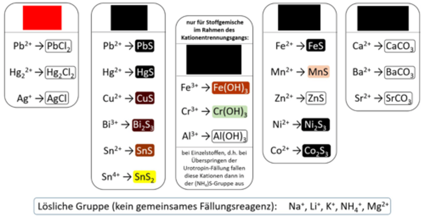 <p>Kationen-Gruppenreaktion 1</p>