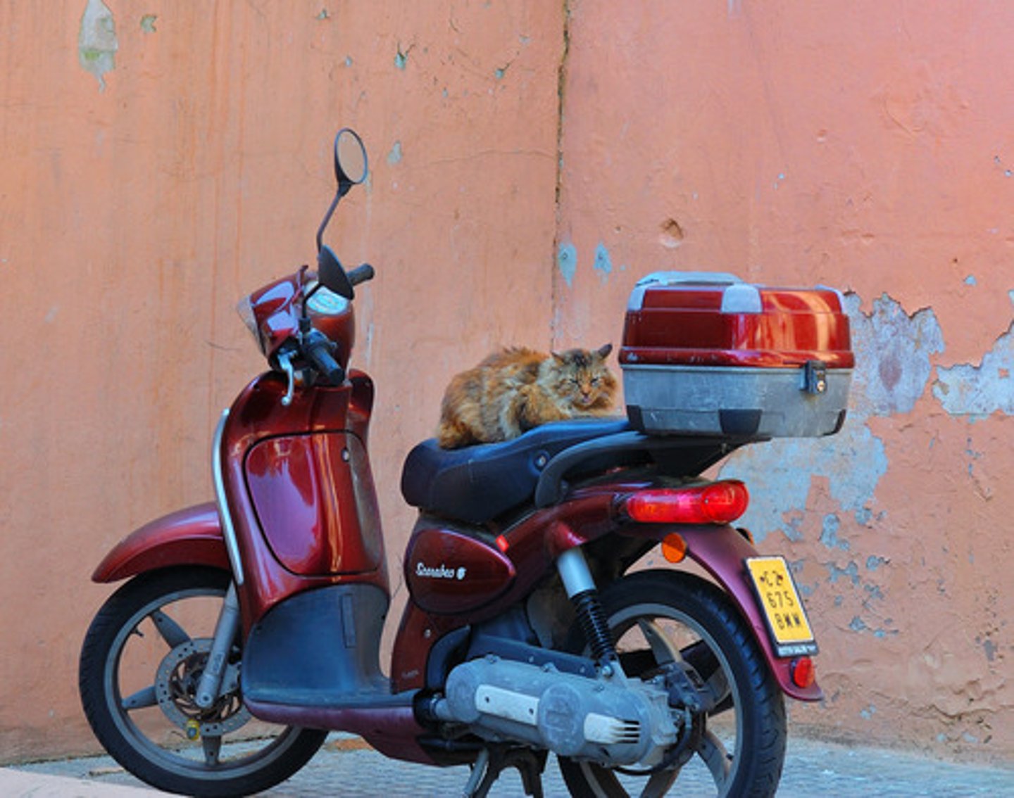 <p>A moped</p>