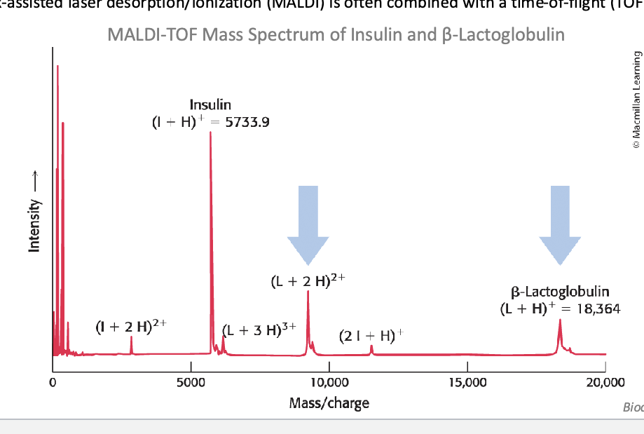 <p>molecular masses with a high degree of <u>sensitivity</u> and <u>accuracy</u></p>