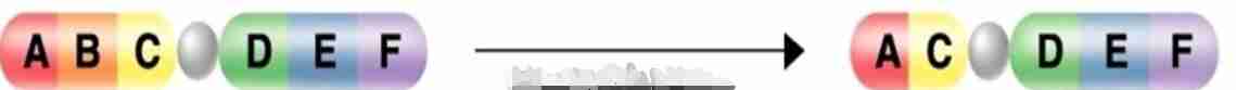 <p>the other chromosome would have no copies of that gene</p>
