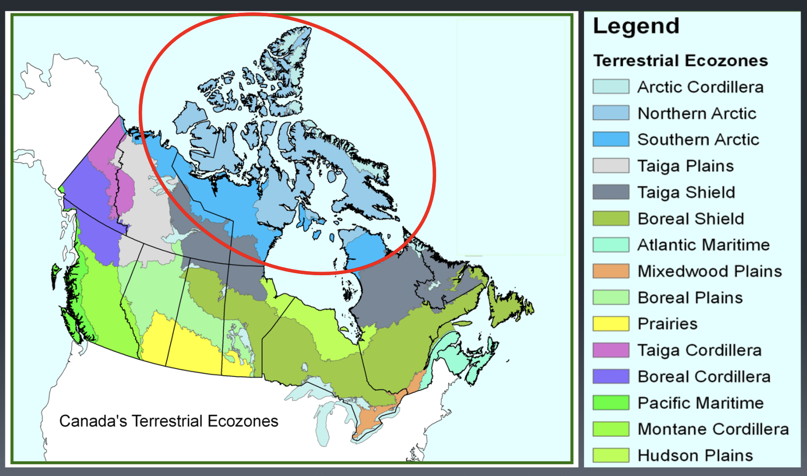 <ul><li><p>non forested tundra</p></li><li><p>high latitude , low solar evergy</p></li><li><p>low ppt but humid</p></li><li><p>permafrost prevents perculation into soil = abundant surface water</p></li><li><p>little water avail to plants, sparse vedge</p></li></ul><p></p>