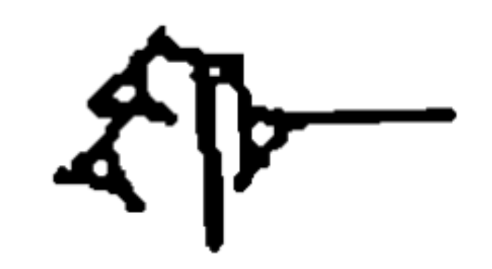 term image