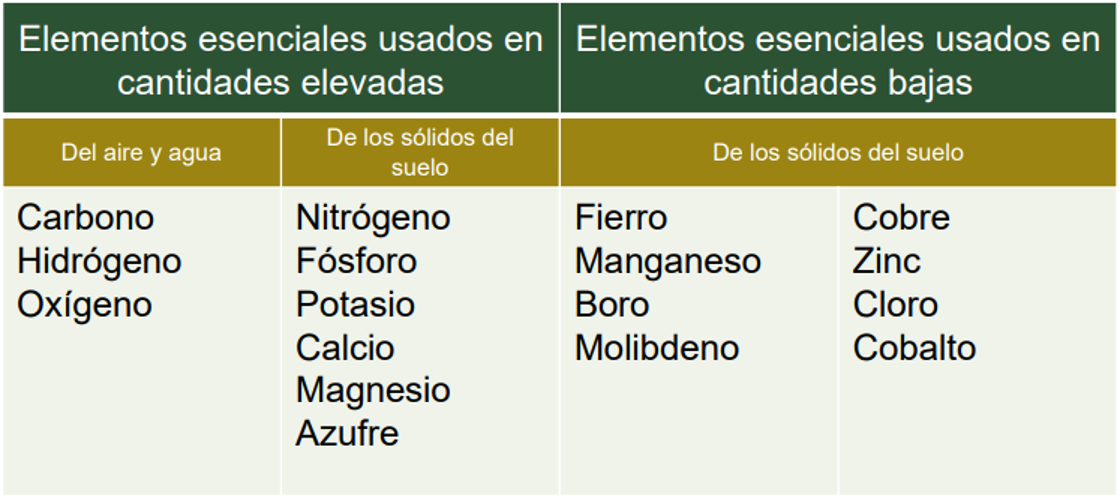 El Carbono, Hidrógeno y Oxígeno son de libre acceso