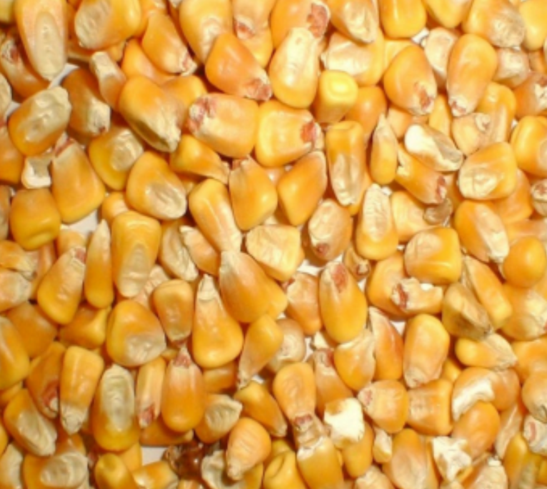 <p>Identify this feed</p>