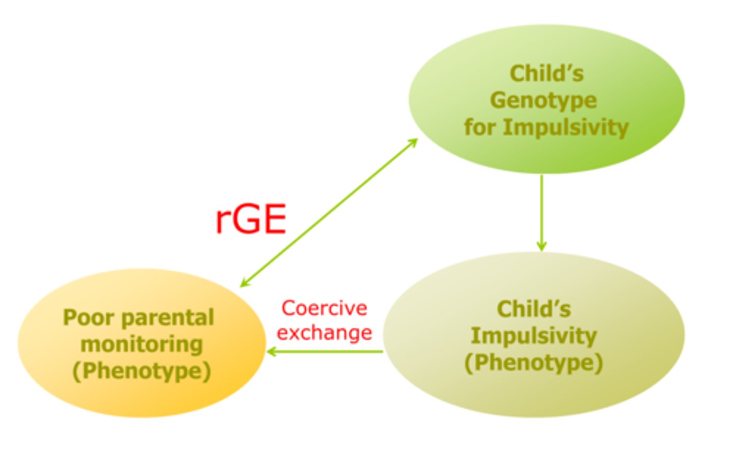 <p>Child's genetic risk for impulsivity, (high levels of impulsivity, low self control) → tends to engage in coercive exchange process that escalates their behavior parents withdrawal demands, and parents give up on monitoring child's behavior</p><p>Genetic risk for impulsivity leads to genetic risk factor</p>