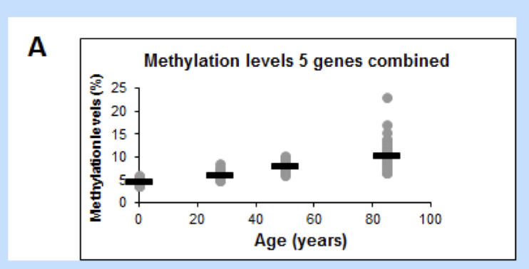 <p><span style="background-color: inherit; line-height: 22px; color: windowtext;"><span>Amount of variation in methylation also increases as you get older, as well as general amount of methylation</span></span><span style="line-height: 22px; color: windowtext;"><span>&nbsp;</span></span></p><p><span style="background-color: inherit; line-height: 22px; color: windowtext;"><span>Mice- small lives so have relatively same level of methylation</span></span><span style="line-height: 22px; color: windowtext;"><span>&nbsp;</span></span></p>