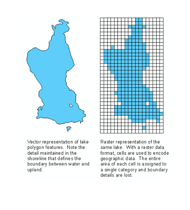<p>Creating a raster from vector data. You superimpose a grid over vector data, its sensitive to raster resolution (cell size), and information is lost. </p>