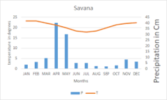 found in the south, warm temperatures and seasonal rainfall,mixture of grasses and sparse trees