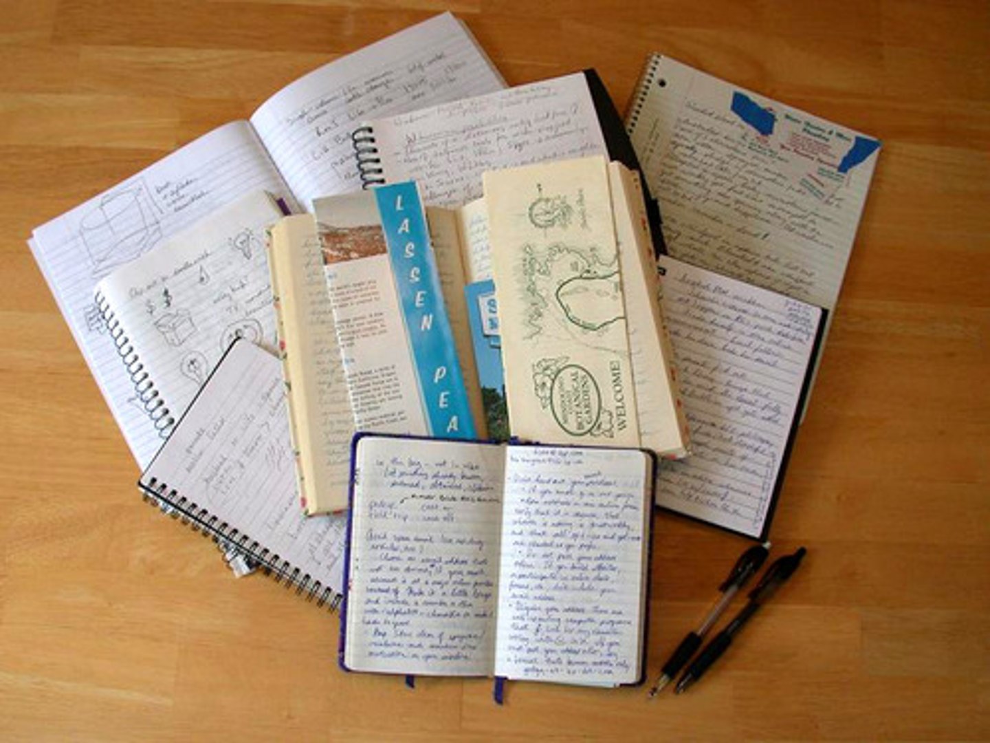 <p>the notebooks</p>