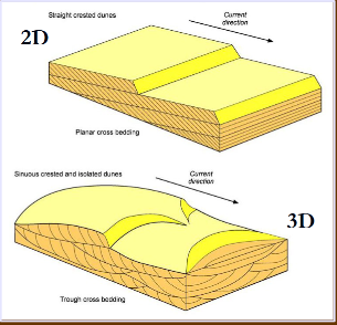 <p>Dune cross bedding types</p>