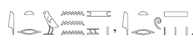 term image