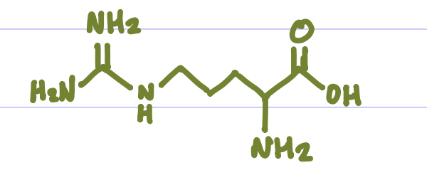 <p>Is this Amino Acid Polar or Non-polar?</p>