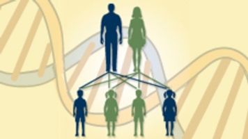<ul><li><p class="Paragraph SCXW150660059 BCX0" style="text-align: left;"><span style="line-height: 20.925px;"><span>The basic principles of heredity </span></span></p></li></ul><ul><li><p class="Paragraph SCXW150660059 BCX0" style="text-align: left;"><span style="line-height: 20.925px;"><span>Focus is on the individual organism</span></span></p></li></ul><p></p>
