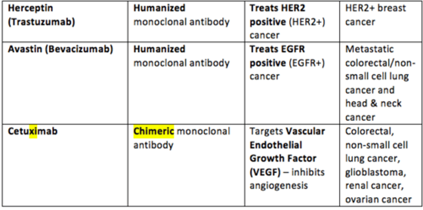 <p>Herceptin (Trastuzumab)</p>
