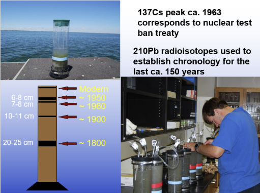 <p><span style="line-height: 20.925px;"><span>From earliest human use to tetra-ethyl-lead gasoline additives </span></span></p>