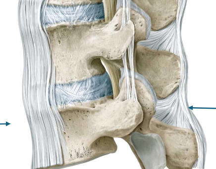 <p>left to right</p>