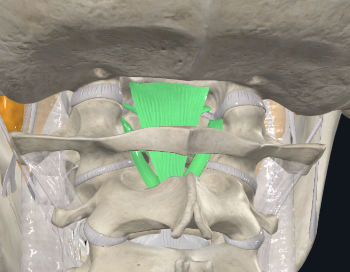 <p>What is highlighted green</p>