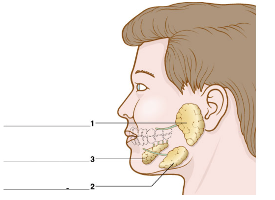 <p>What is number 2</p>