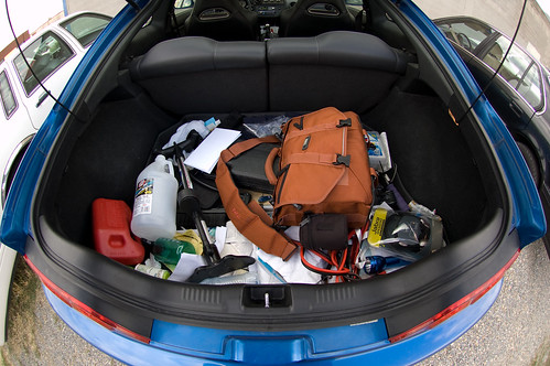 trunk