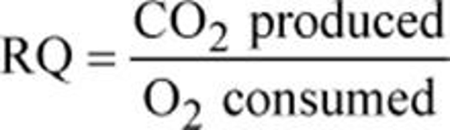 <p>Ratio of CO2 produced to O2 consumed.</p>