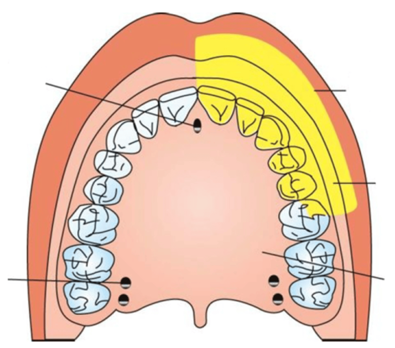 <p>anterior superior alveolar block</p><p>anesthetizes anterior teeth on one side </p>