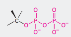 <p>What is the name of this functional group?</p>