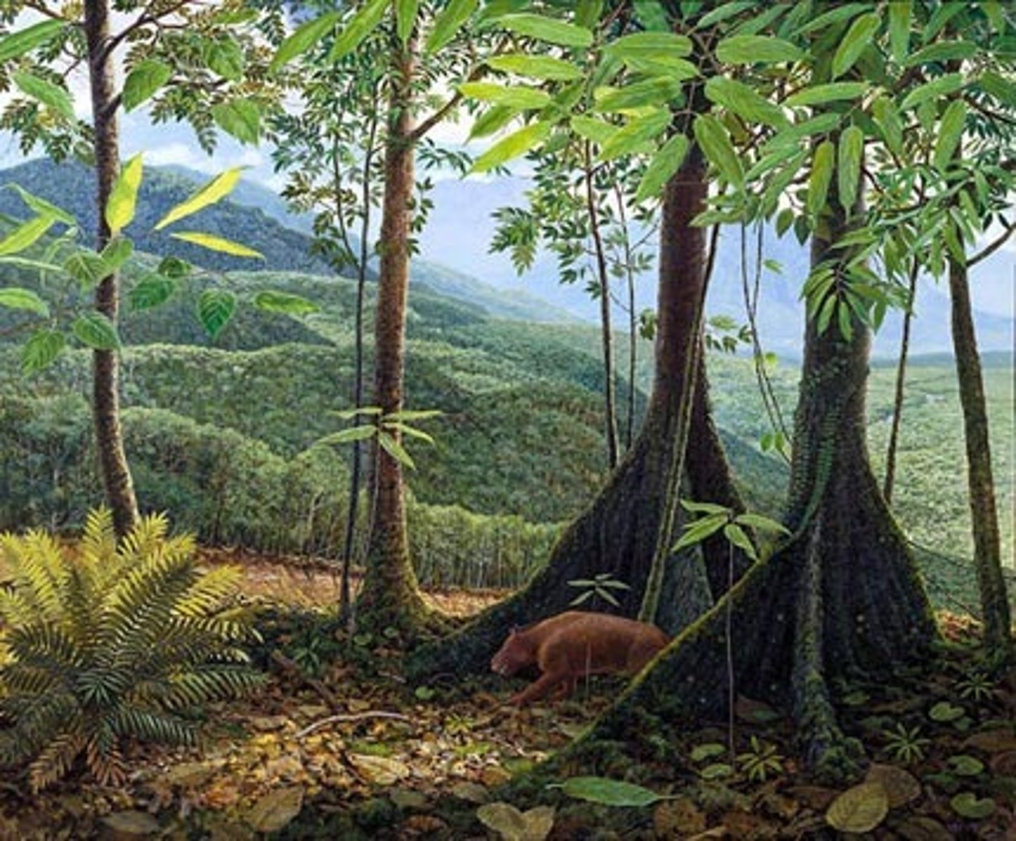 <p>Crosses K-T: Finally the Rockies, After Armageddon, First Rainforest</p>