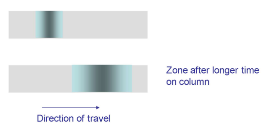 <p>The sample diffuses over time as it spends longer in the column.</p><ul><li><p>Can be reduced by having a faster linear flow.</p></li></ul><p></p>