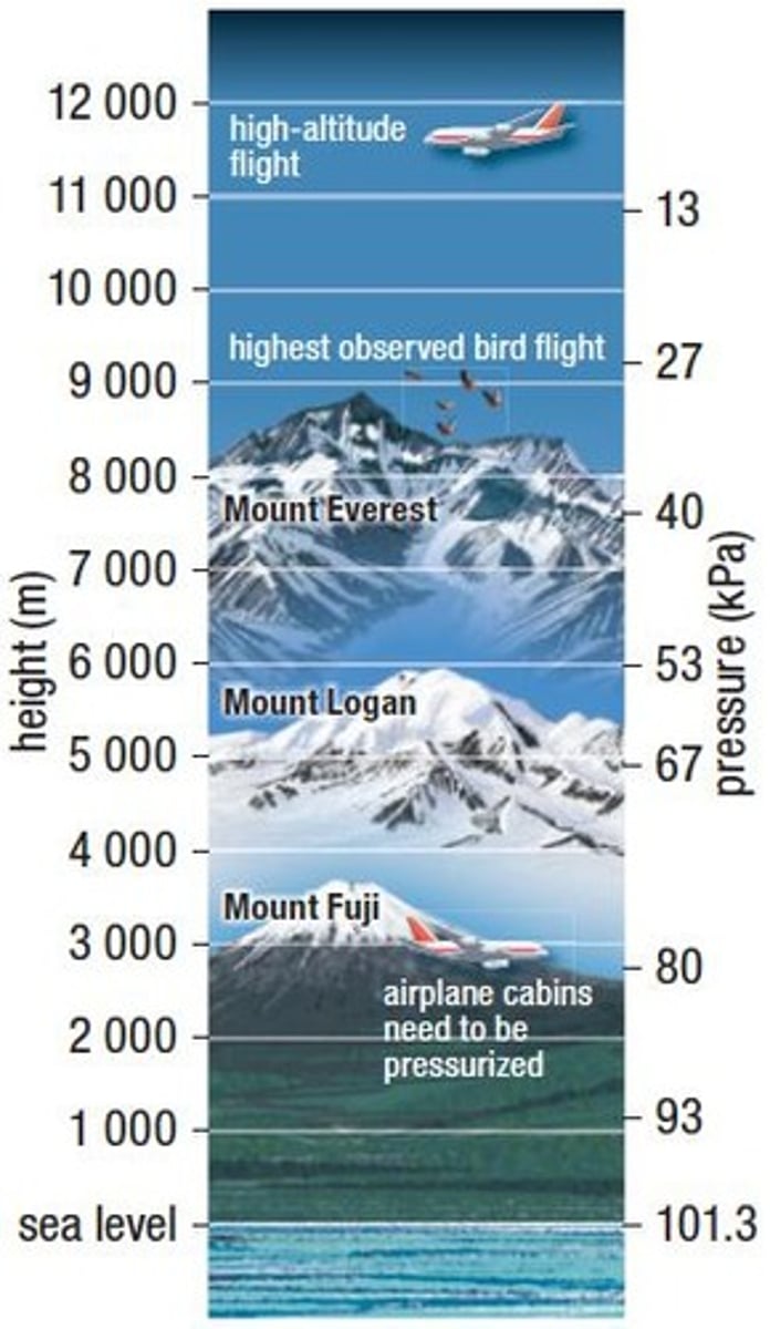 <p>At higher altitudes, air density decreases, causing total air pressure to decrease while the composition of gases remains the same.</p>