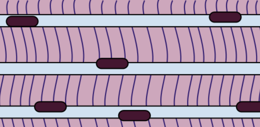 <p>name the tissue</p>