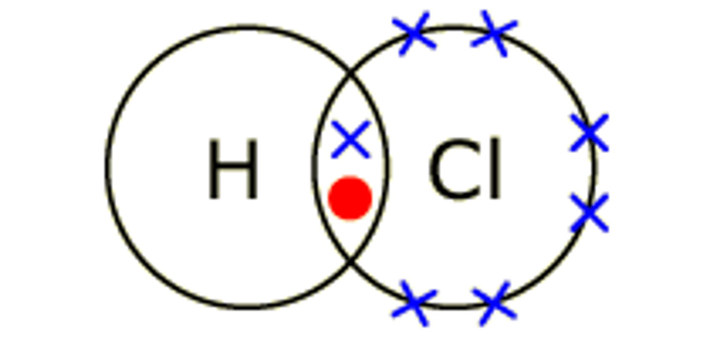 <p>both atoms need 1 more electron to complete outer shell</p>