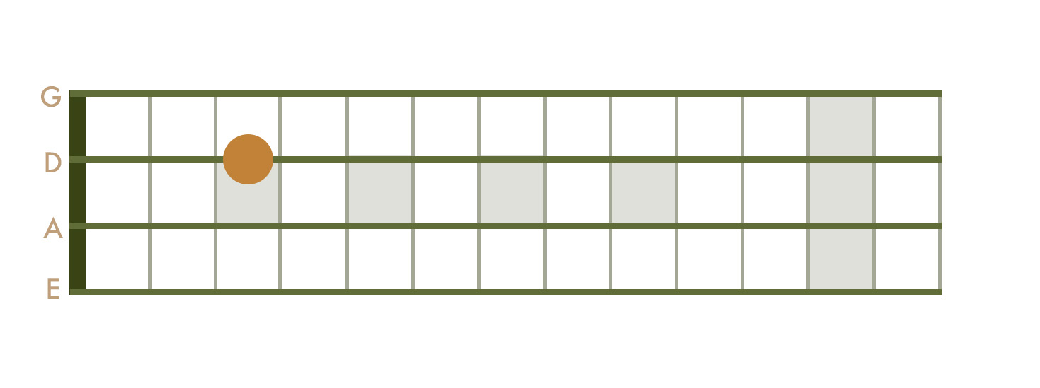 <p>3rd Fret - D String</p>