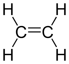 <p>Alkenes</p>