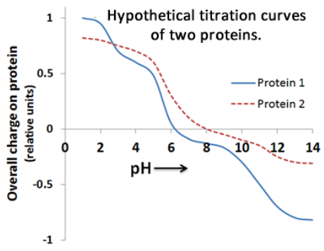<p><span><span>The titration curves of two hypothetical proteins are shown below.&nbsp;</span></span><br><span><span>Assume you are using a column packed with DEAE-cellulose.</span></span></p><p><span><span> At pH 7, will Protein 1 bind to the column?</span></span></p><p><span><span>Will protein 2 bind to the column?</span></span></p><p><span><span>At pH 9, will protein 1 bind to the column?</span></span></p><p><span><span>Will protein 2 bind to the column?</span></span></p>