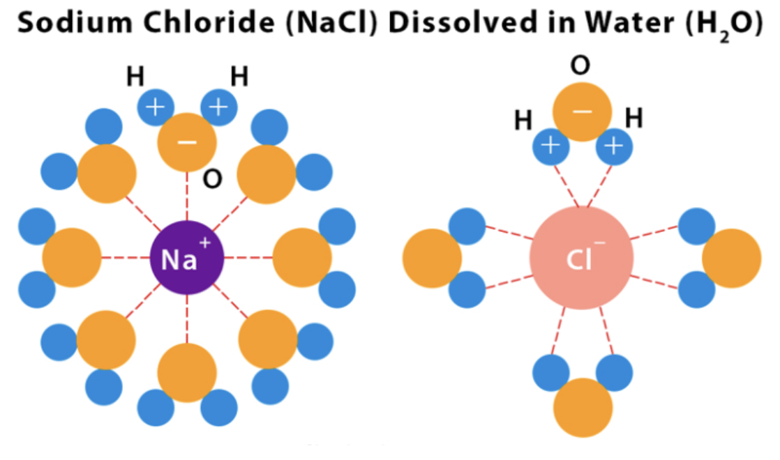 <ul><li><p><strong>Occurs between an ion and a polar molecule</strong> (typically water).</p></li><li><p>Stronger than hydrogen bonding because ions have <strong>full charges</strong> instead of partial charges.</p></li><li><p>Plays a key role in <strong>dissolving ionic compounds</strong> in water.</p></li><li><p>Strongest IMF</p></li></ul><p></p>