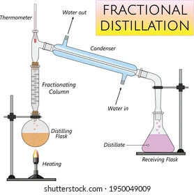 <p>Used to seperate a liquids</p><p>Must have different boiling points</p><p>A physical seperation technique </p><ul><li><p>Contains a fractionating column which contains hundreds of glass beads</p></li><li><p>When the liquids begin to evaporate, the vapours begin to mix together </p></li><li><p>When they reach the fractionating column which is cool at the top, the vapours condense and drip back into the flask where the liquids evaporate again </p></li><li><p>This repeated evaporation and condensation increases the amount of the lower boiling point chemical in the fractionating column</p></li><li><p>This means that a mixture of the vapours which contains more of the mixture of the lower boiling point goes to the condenser and turns back into a liquid </p></li></ul><p>REVISE OVER SEPERATELY!!!</p>
