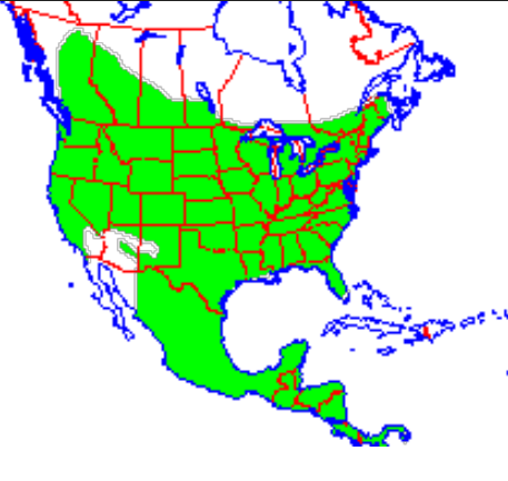 <p>Which species fits the following habitat and management concerns?</p><p><br>Habitat: Brushlands and open timber, brushy and grassy field edges, grasslands along creeks and lakes, swamps, and cattail marshes; Canada through Central America</p><p>Management issues: Occasionally raid hen houses; relatively unimportant furbearer</p>