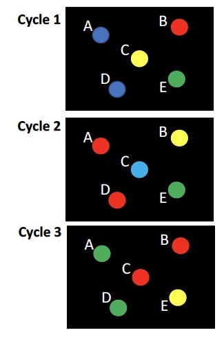 <p>You are sequencing the genomes of 4 individuals in the same flow cell. The images below show a region of the flow cell during the first 3 cycles of Index Read 1. Which clusters represent DNA segments derived from the same individual?</p><p><span>a) A&amp;B</span></p><p><span>b) A&amp;C</span></p><p><span>c) A&amp;D</span></p><p><span>d) B&amp;C</span></p><p><span>e) B&amp;D</span></p><p><span>f) B&amp;E</span></p>